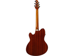 Ibanez TCY10E Talman Acoustic-Electric image 2