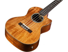 Cordoba 25TK-CE image 3