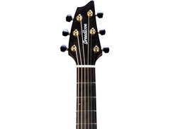 Breedlove Solo Concert image 3