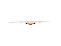 Meinl 12" Pure Alloy Custom Trash China Cymbal image 3