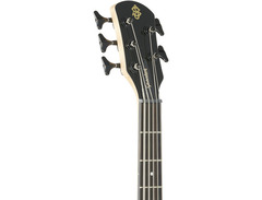 Spector Performer 5-String Bass image 4