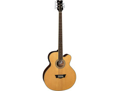 Dean Playmate EAB C 5 string acoustic-electric bassguitar image 3