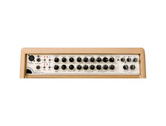 Mesa Boogie Rosette 300/One:Ten 2-Channel 300-Watt 1x10" Acoustic Guitar Combo image 4