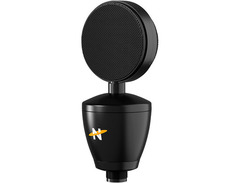 Neat Microphones Worker Bee II Large Diaphragm Cardioid Condenser Microphone image 3