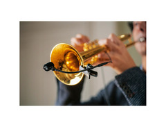 Neumann MCM-114 Microphone Set for Brass and Saxophone image 2
