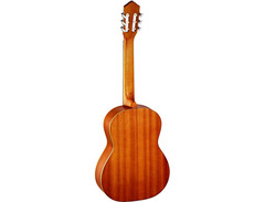 Ortega Family Series Pro R131 image 4