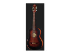 Ortega Family Series Pro R55DLX image 2