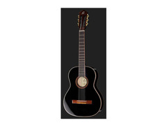 Ortega Family Series R221 3/4 Size image 2