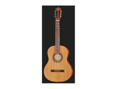 Ortega Student Series RSTC5M image 2