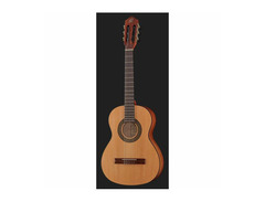 Ortega Student Series RSTC5M 3/4 Size image 2
