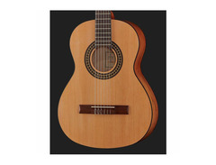 Ortega Student Series RSTC5M 3/4 Size image 4