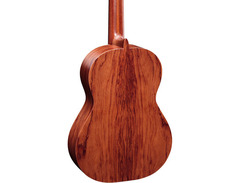 Ortega Traditional Series R180 image 2