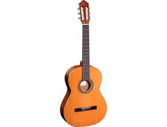 Ortega Traditional Series R220 image 3