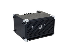 Phil Jones Bass BG-110 Bass Cub II 110-Watt 2x5" Bass Combo image 3