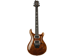 PRS Custom 24 Floyd Wood Library image 3