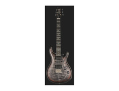 PRS Modern Eagle V Wood Library image 2