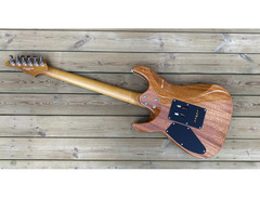 Shijie Guitars PDS-Pegasus Series image 2