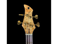 Elegee Taal Bass image 4