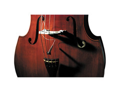 Fishman Full Circle image 2