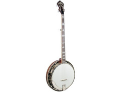 Recording King RK-ELITE-75 The Elite Flying Eagle Resonator Banjo image 3