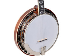 Recording King RK-ELITE-76 The Elite Hearts and Flowers Resonator Banjo image 3
