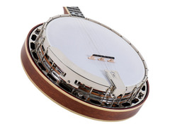 Recording King RK-ELITE-76 The Elite Hearts and Flowers Resonator Banjo image 4