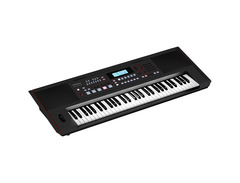 Roland E-X50 61-Key Arranger Keyboard image 2