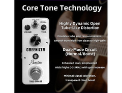 Rowin LEF-323 Greenizer Overdrive image 2