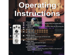 Rowin LEF-323 Greenizer Overdrive image 3