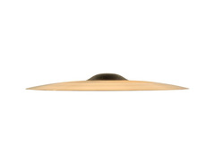 Sabian 21" AAX Freq Ride Cymbal image 3