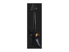 Sandberg Victor Brandt Signature Forty Eight 5-String image 3