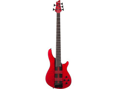 Schecter C-5 GT image 3