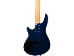 Schecter C-5 Plus image 2