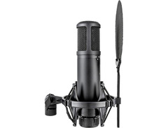 sE Electronics sE2200 Large Diaphragm Cardioid Condenser Microphone image 2