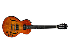 Maybach Little Wing Non Cutaway Series image 2