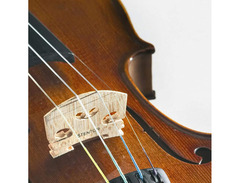 Stentor 1500 Full Size Student II Violin image 3