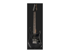 Suhr Pete Thorn Signature Standard HSS image 2