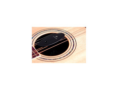 D'Addario GH Acoustic Guitar Humidifier image 4