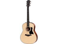 Taylor 317e with V-Class Bracing image 3