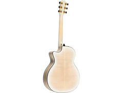 Taylor 50th Anniversary 614ce LTD image 4