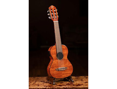 Ortega RGLE18FMH image 2