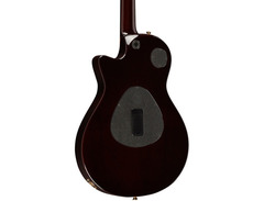 Taylor Custom Shop T5z image 2