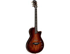 Taylor Custom Shop T5z image 3