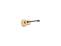 Taylor GC4 image 2