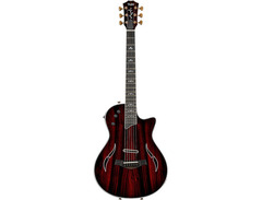 Taylor T5Z Custom C Cocobolo image 3