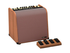 TC Helicon	Harmony V100 2-Channel 100-Watt 1x10" Acoustic Guitar Combo image 2