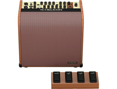 TC Helicon	Harmony V60 2-Channel 60-Watt 1x8" Acoustic Guitar Combo image 3