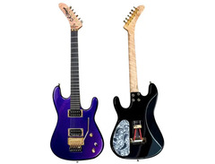 C.R. Alsip Guitars Neptune FR image 2
