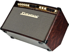 Traynor AM Standard Acoustic Master 150-Watt 2x6.5" Stereo Acoustic Guitar Combo with Dual Tweeters image 2