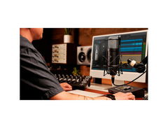 Universal Audio Sphere DLX Large Diaphragm Modeling Microphone image 4